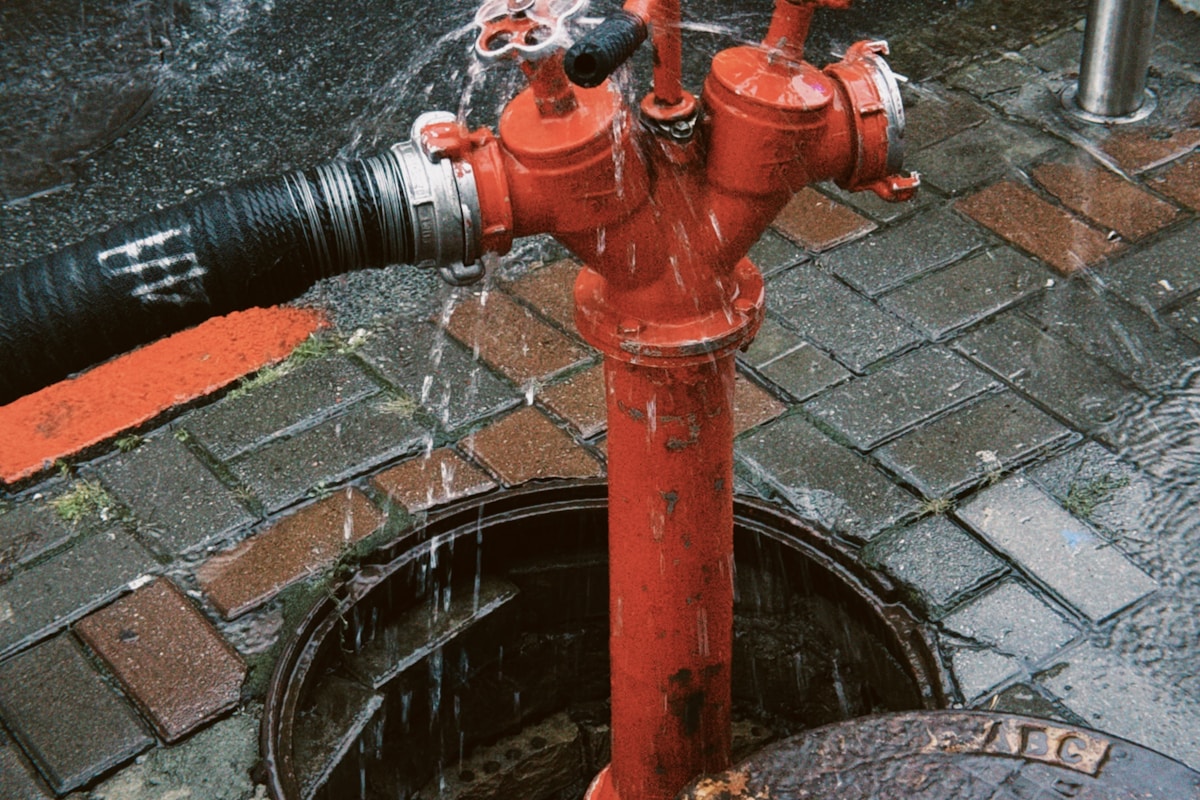 Mold Remediation service in Glendora, CA